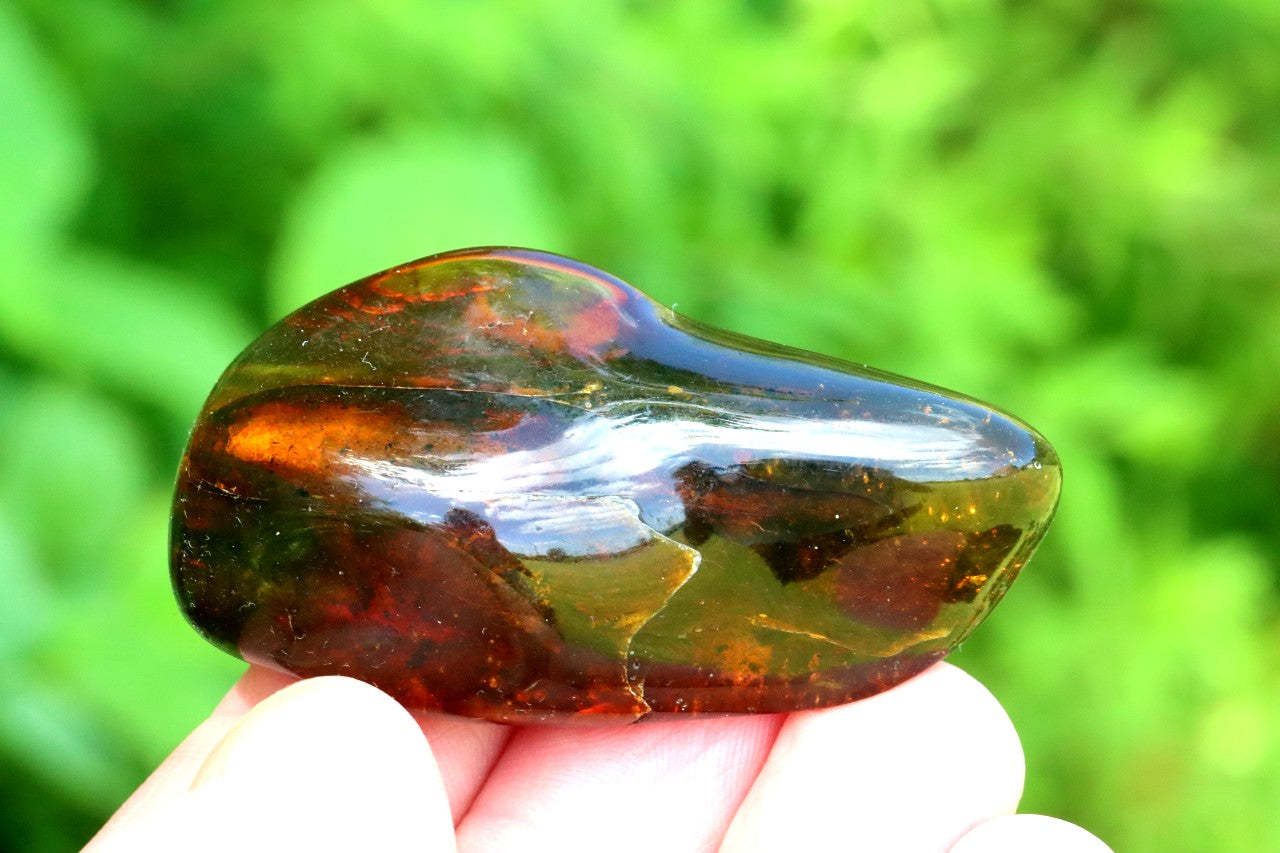 Natural Baltic Amber Gem