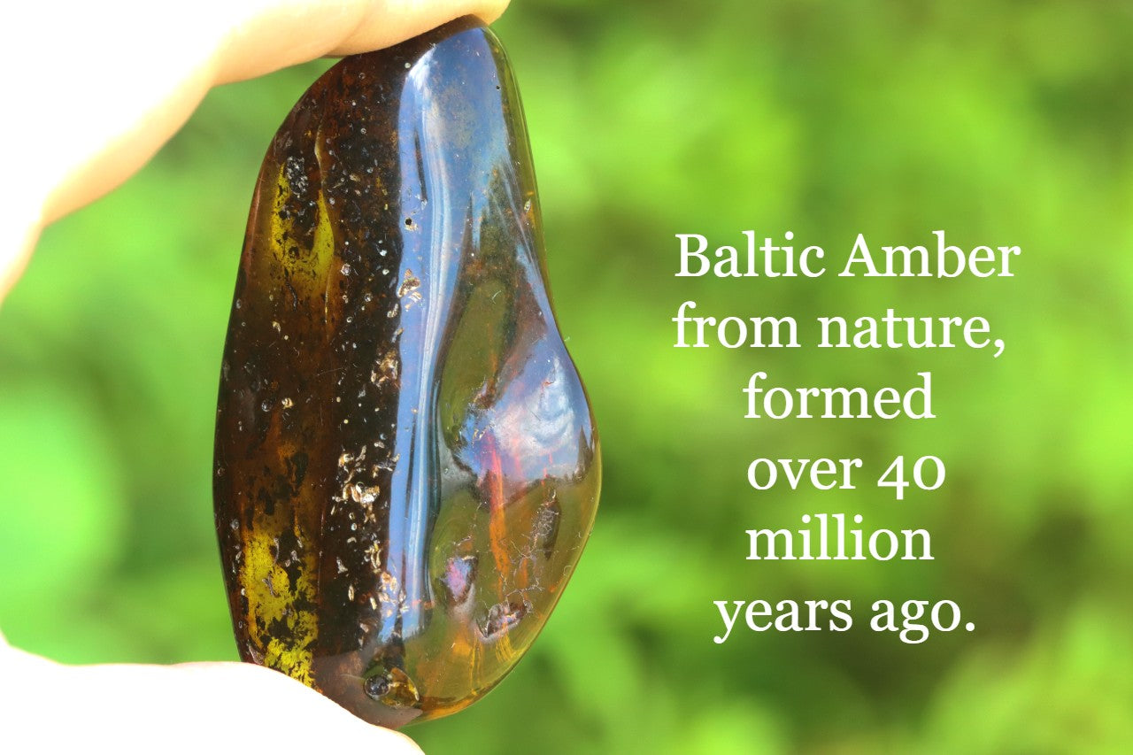 Natural Baltic Amber Gem