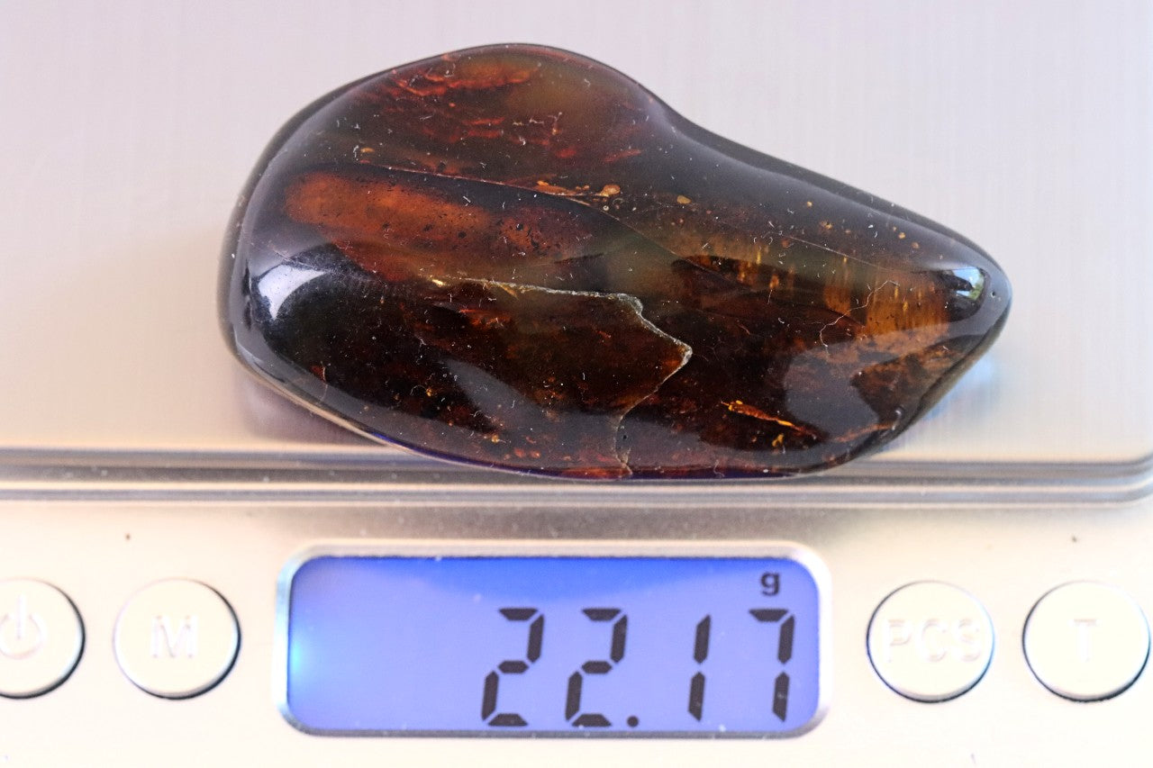 Natural Baltic Amber Gem
