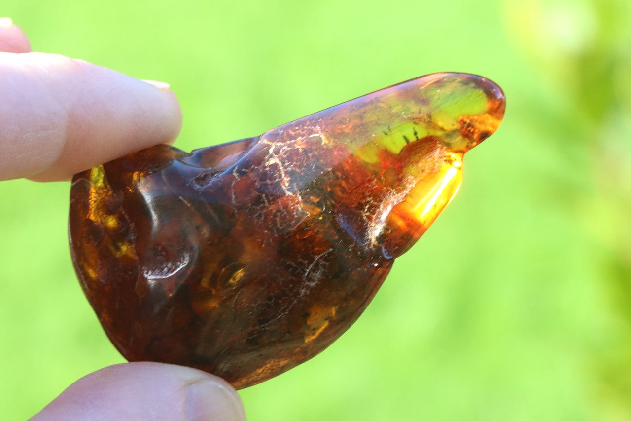 Baltic Amber Gemstone | Natural Amber for Protection and Luck