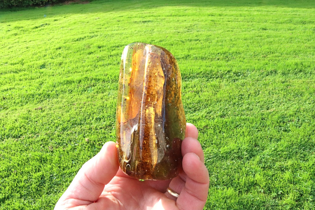 Baltic Amber Collector's Gem / Large Natural Amber Stone | Display Piece with Laboratory Certificate