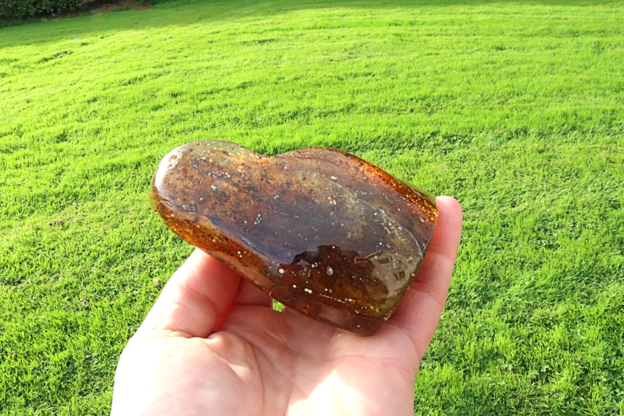 Baltic Amber Collector's Gem / Large Natural Amber Stone | Display Piece with Laboratory Certificate