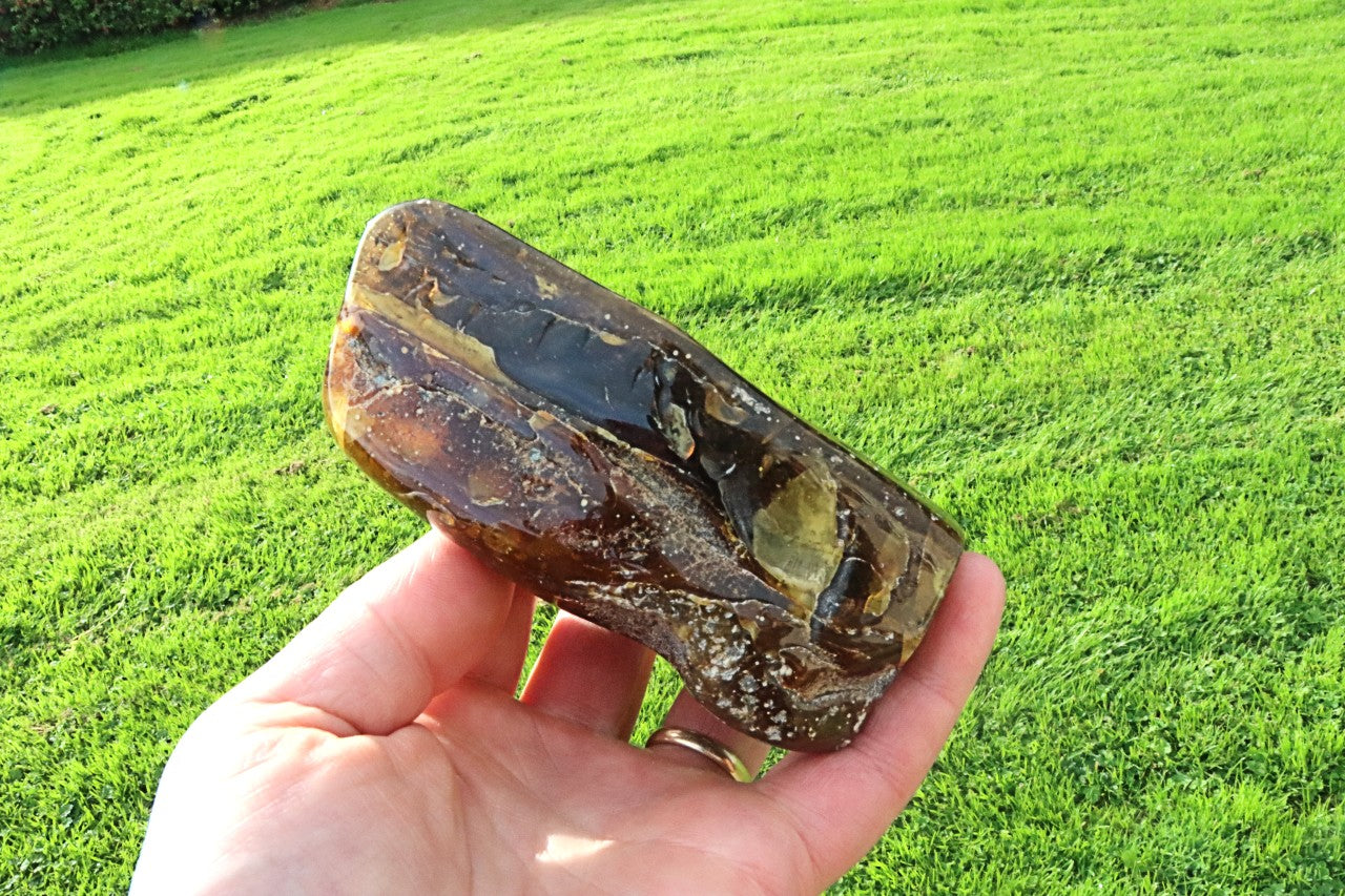 Large Baltic Amber Collector's Gem /  Quality Interesting Specimen Display Piece with Laboratory Certificate