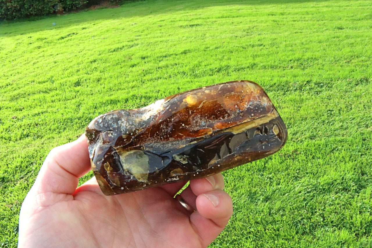 Large Baltic Amber Collector's Gem /  Quality Interesting Specimen Display Piece with Laboratory Certificate