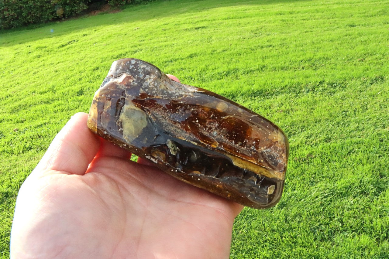 Large Baltic Amber Collector's Gem /  Quality Interesting Specimen Display Piece with Laboratory Certificate