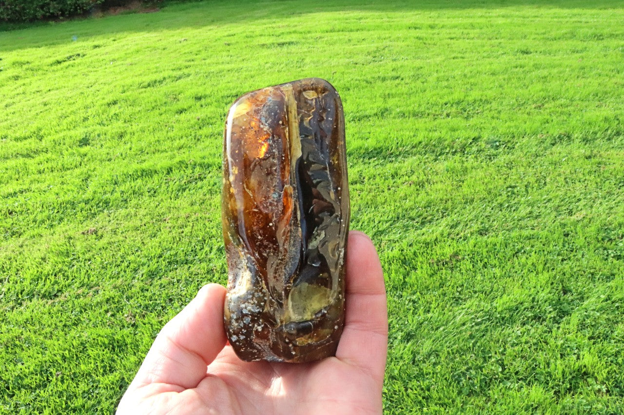 Large Baltic Amber Collector's Gem /  Quality Interesting Specimen Display Piece with Laboratory Certificate