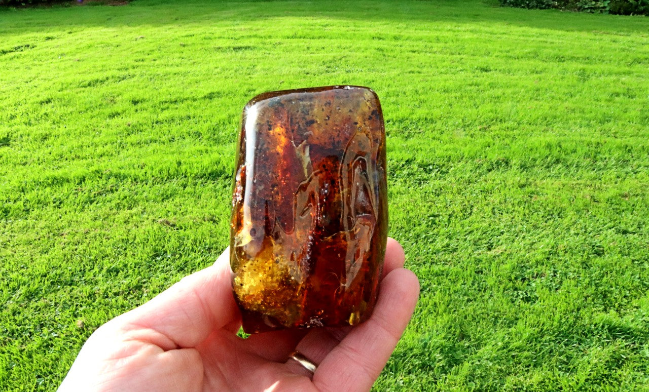 Large 168g Baltic Amber Collector's Gem /  Quality Interesting Specimen Display Piece with Laboratory Certificate