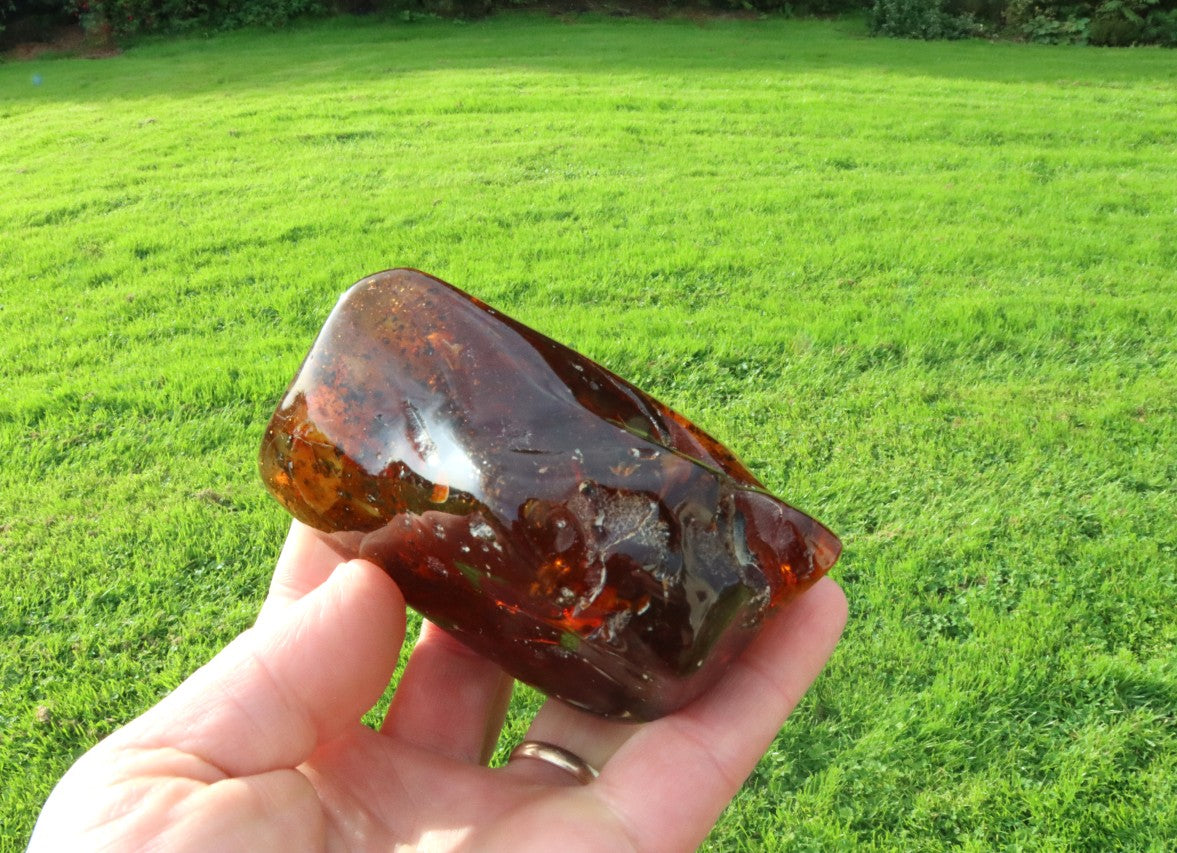 Large 168g Baltic Amber Collector's Gem /  Quality Interesting Specimen Display Piece with Laboratory Certificate