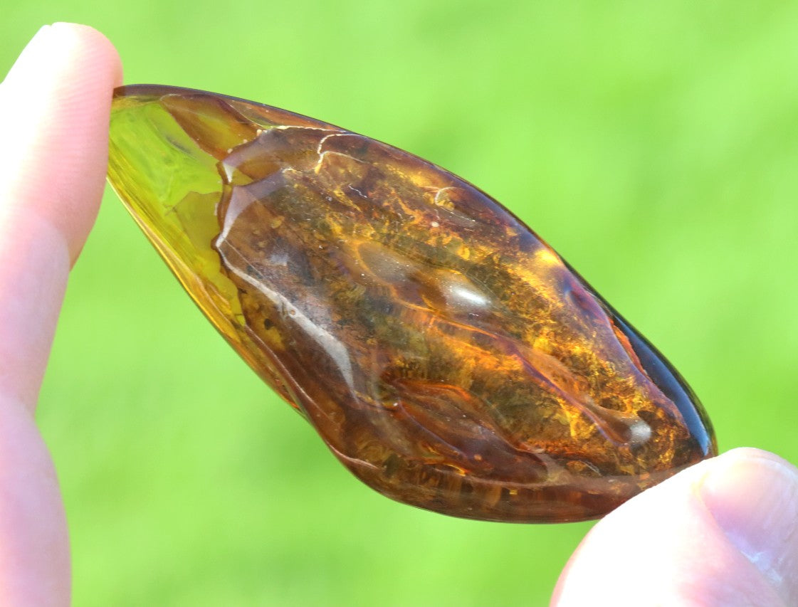 Baltic Amber Worry Stone | Natural Soothing Gem