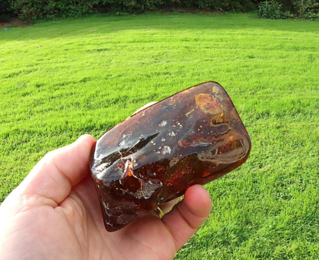 Large 168g Baltic Amber Collector's Gem /  Quality Interesting Specimen Display Piece with Laboratory Certificate