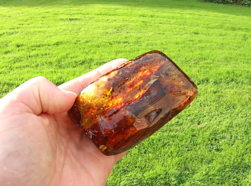 Large 168g Baltic Amber Collector's Gem /  Quality Interesting Specimen Display Piece with Laboratory Certificate