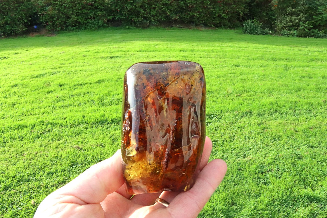 Large 168g Baltic Amber Collector's Gem /  Quality Interesting Specimen Display Piece with Laboratory Certificate