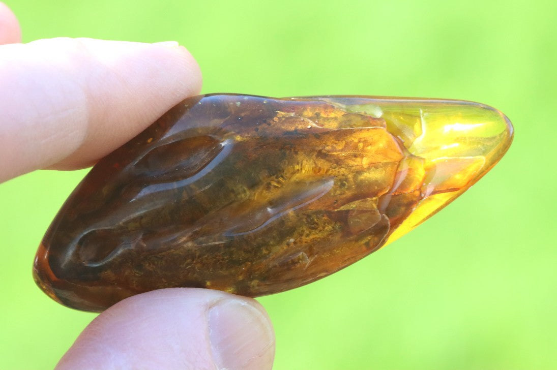 Baltic Amber Worry Stone | Natural Soothing Gem