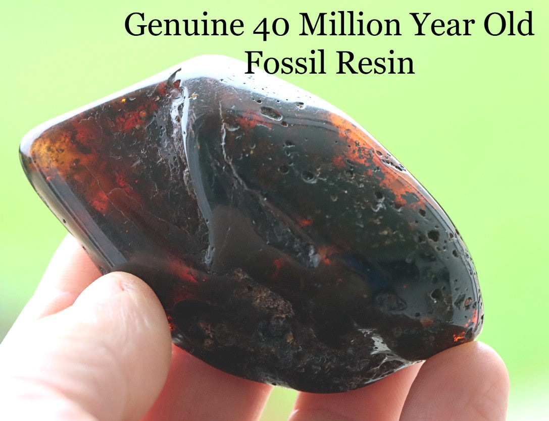 Large Tumbled Baltic Amber Gemstone – Genuine 40 Million Year Old Fossil Resin