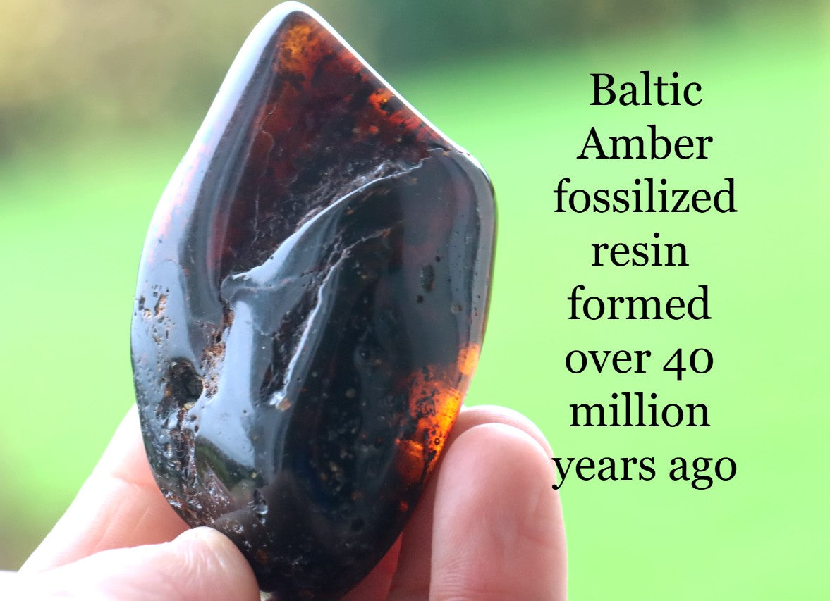 Large Tumbled Baltic Amber Gemstone – Genuine 40 Million Year Old Fossil Resin