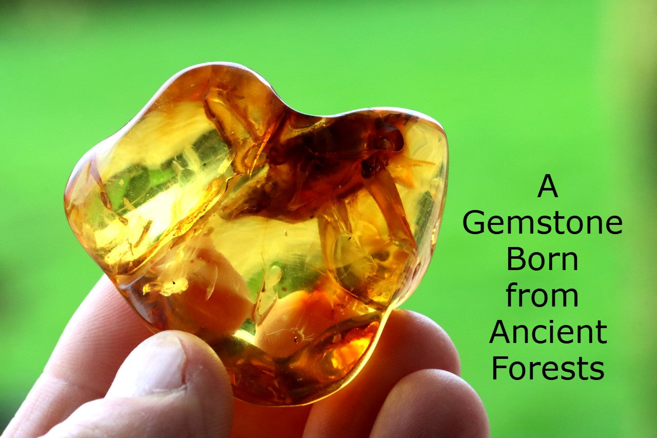 Warm Honey Fossil Resin