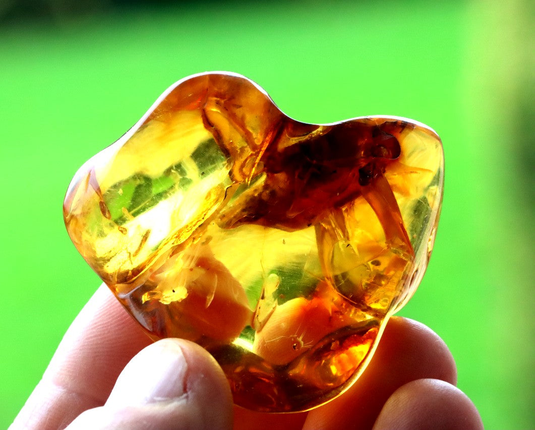 Warm Honey Fossil Resin