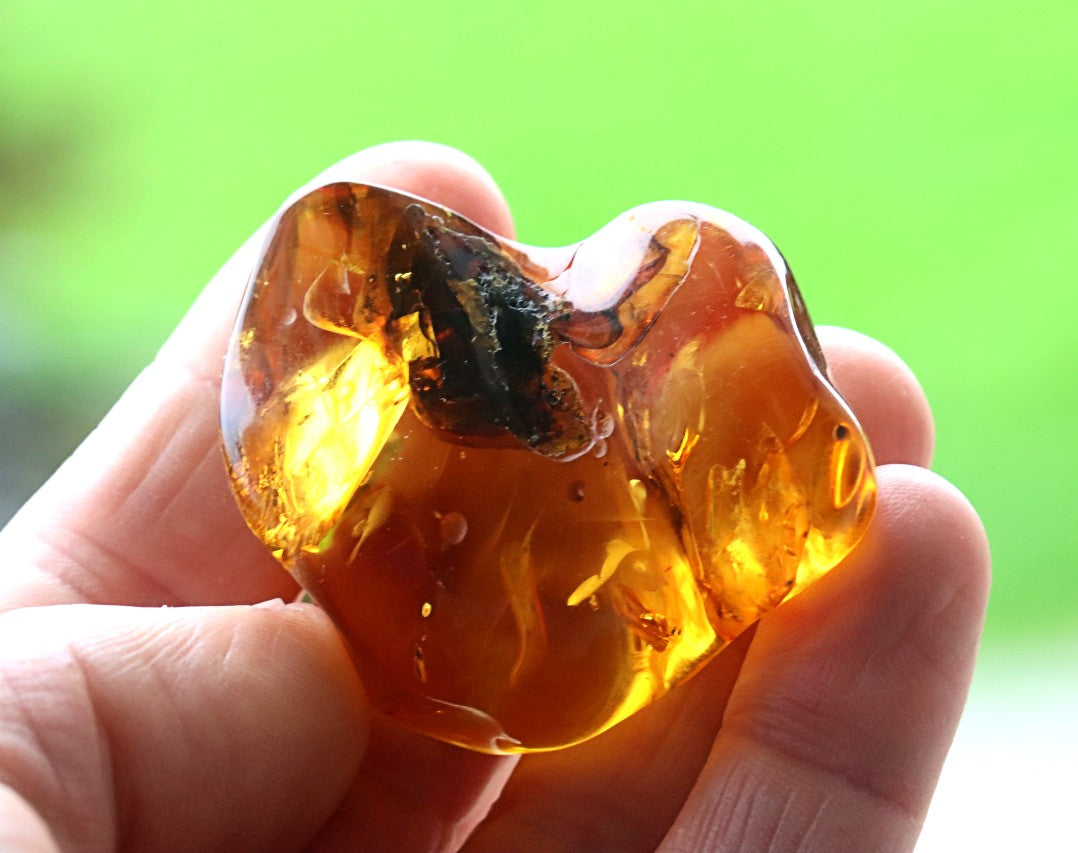 Warm Honey Fossil Resin