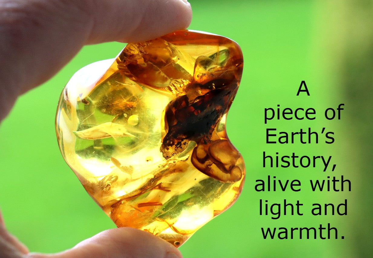 Warm Honey Fossil Resin