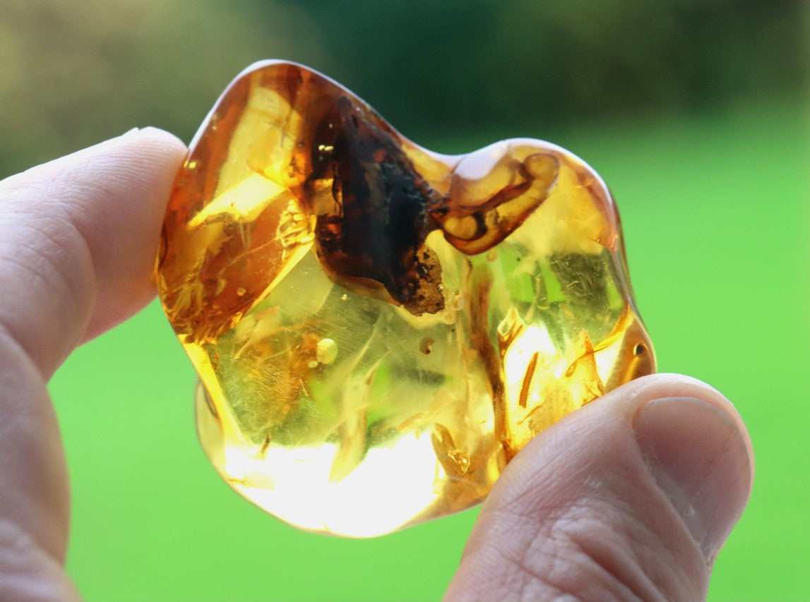 Warm Honey Fossil Resin