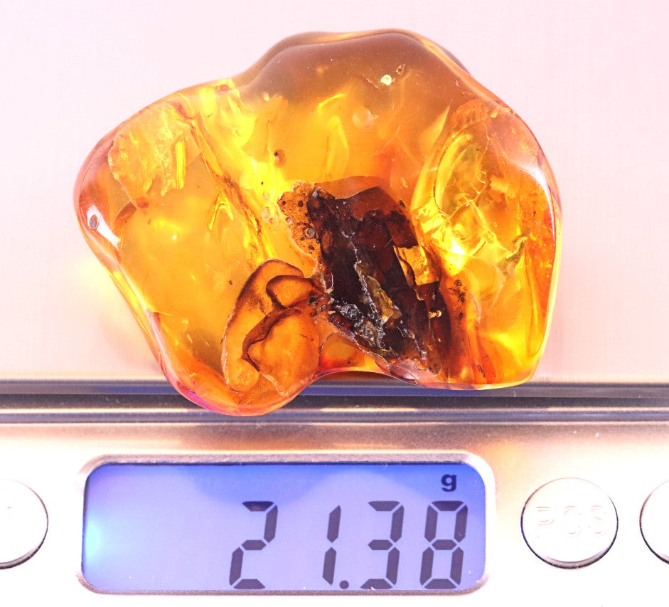 Warm Honey Fossil Resin