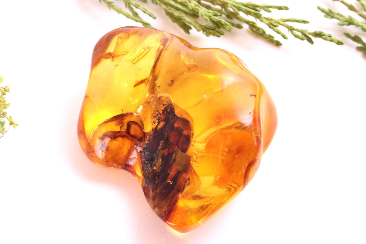 Warm Honey Fossil Resin