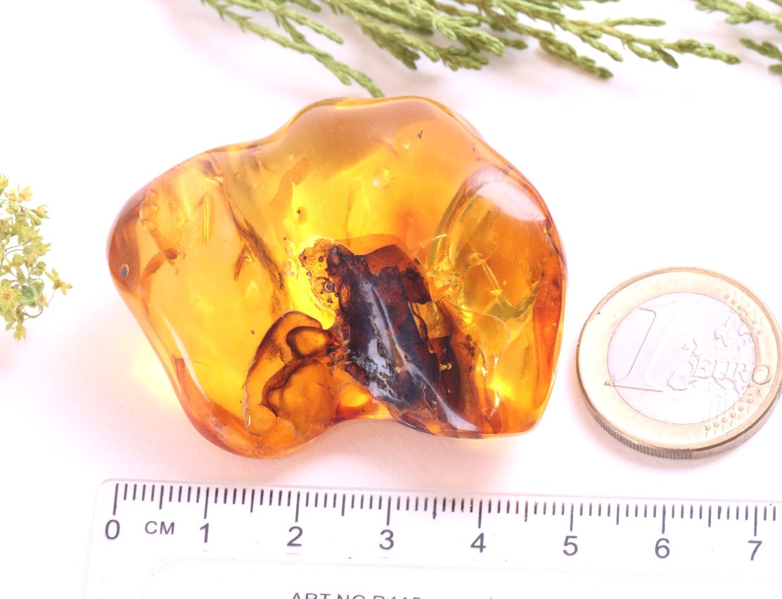 Warm Honey Fossil Resin