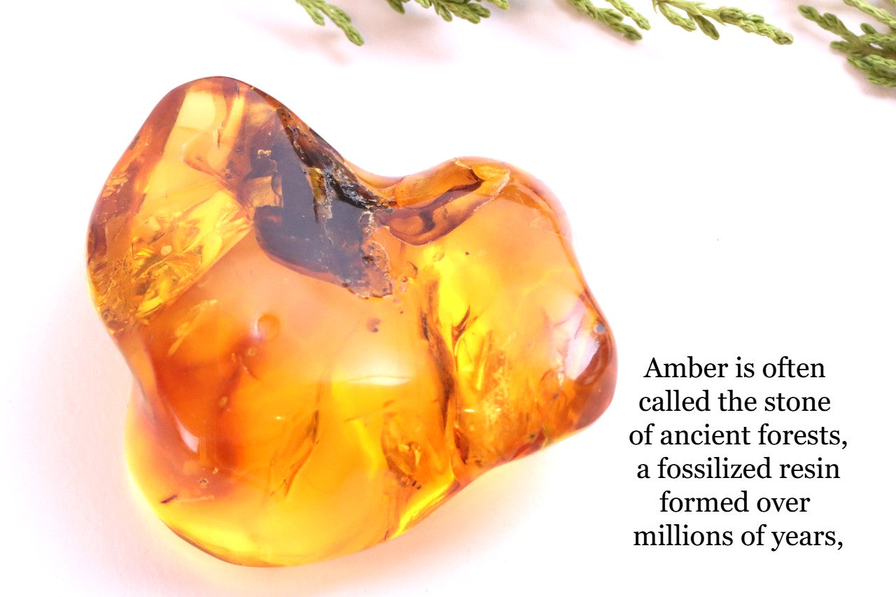 Warm Honey Fossil Resin