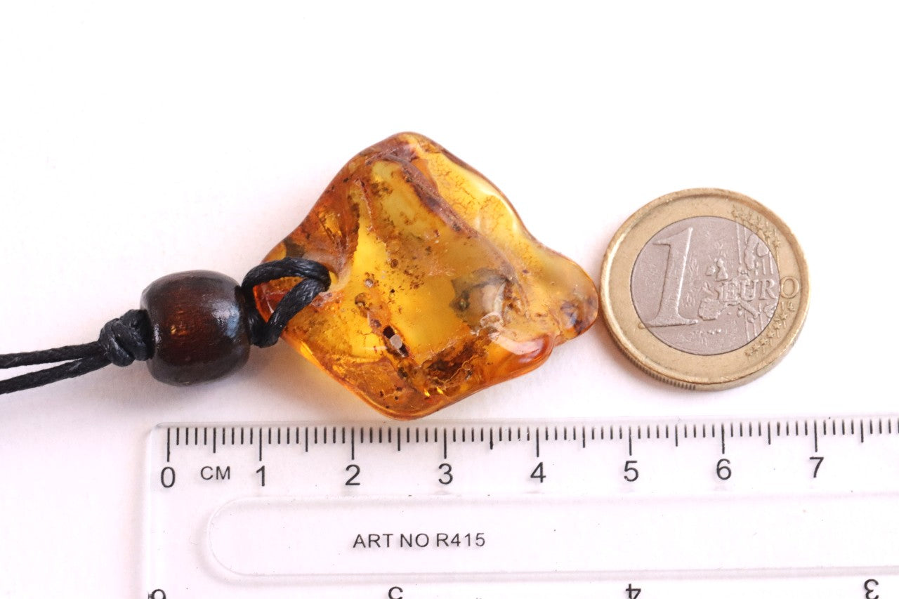Unique Baltic Amber Amulet with Wooden Bead