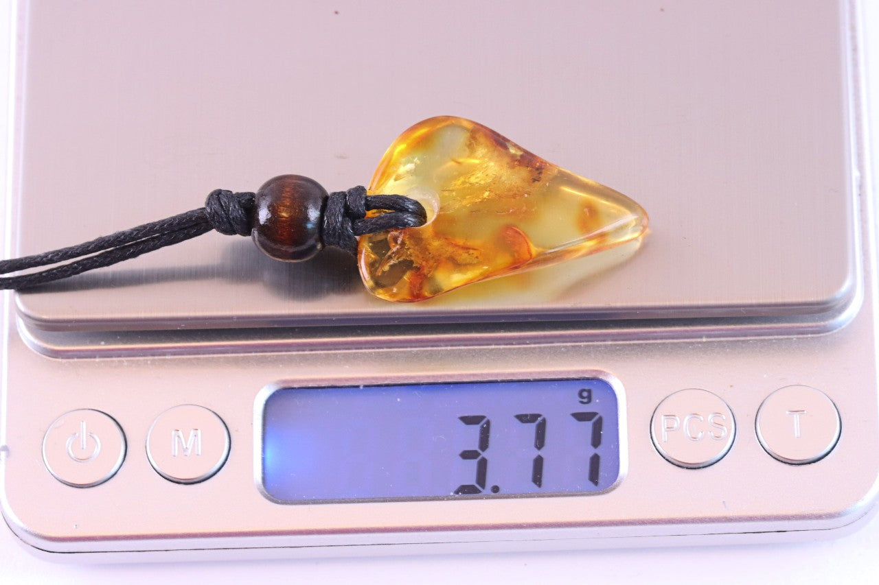 Unique Baltic Amber Amulet with Wooden Bead