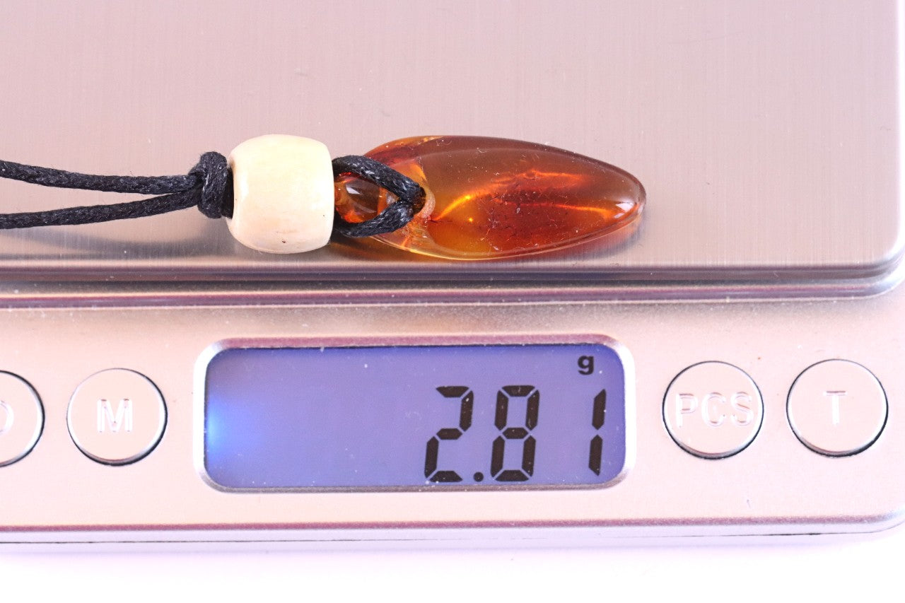 Unique Baltic Amber Amulet with Wooden Bead