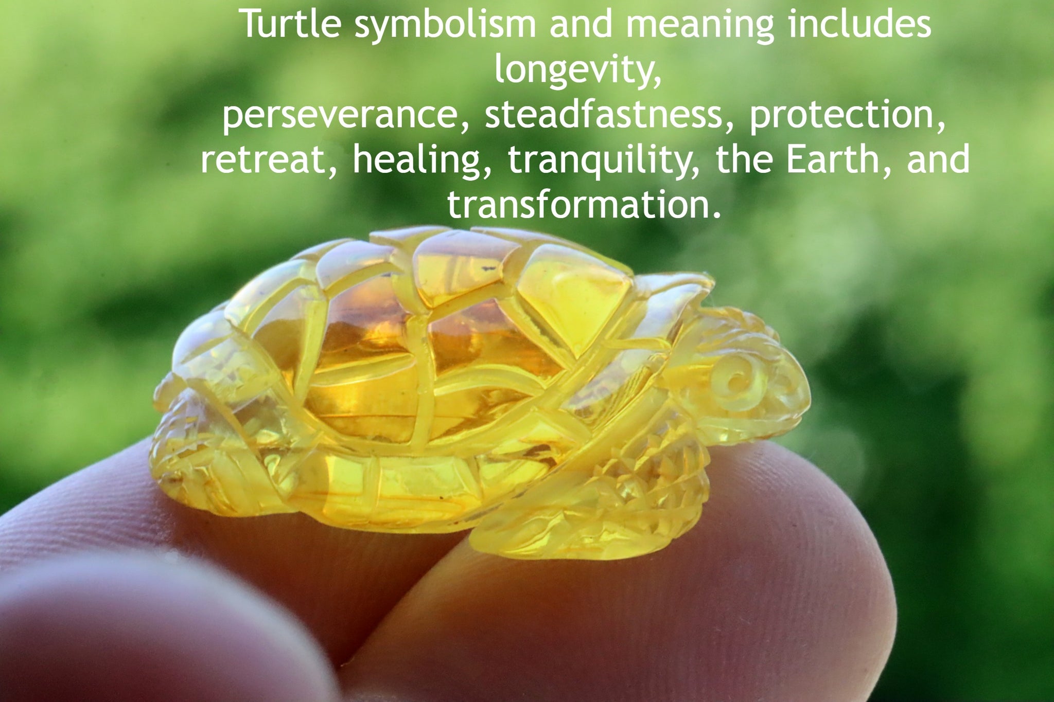 Turtle Amber Carving