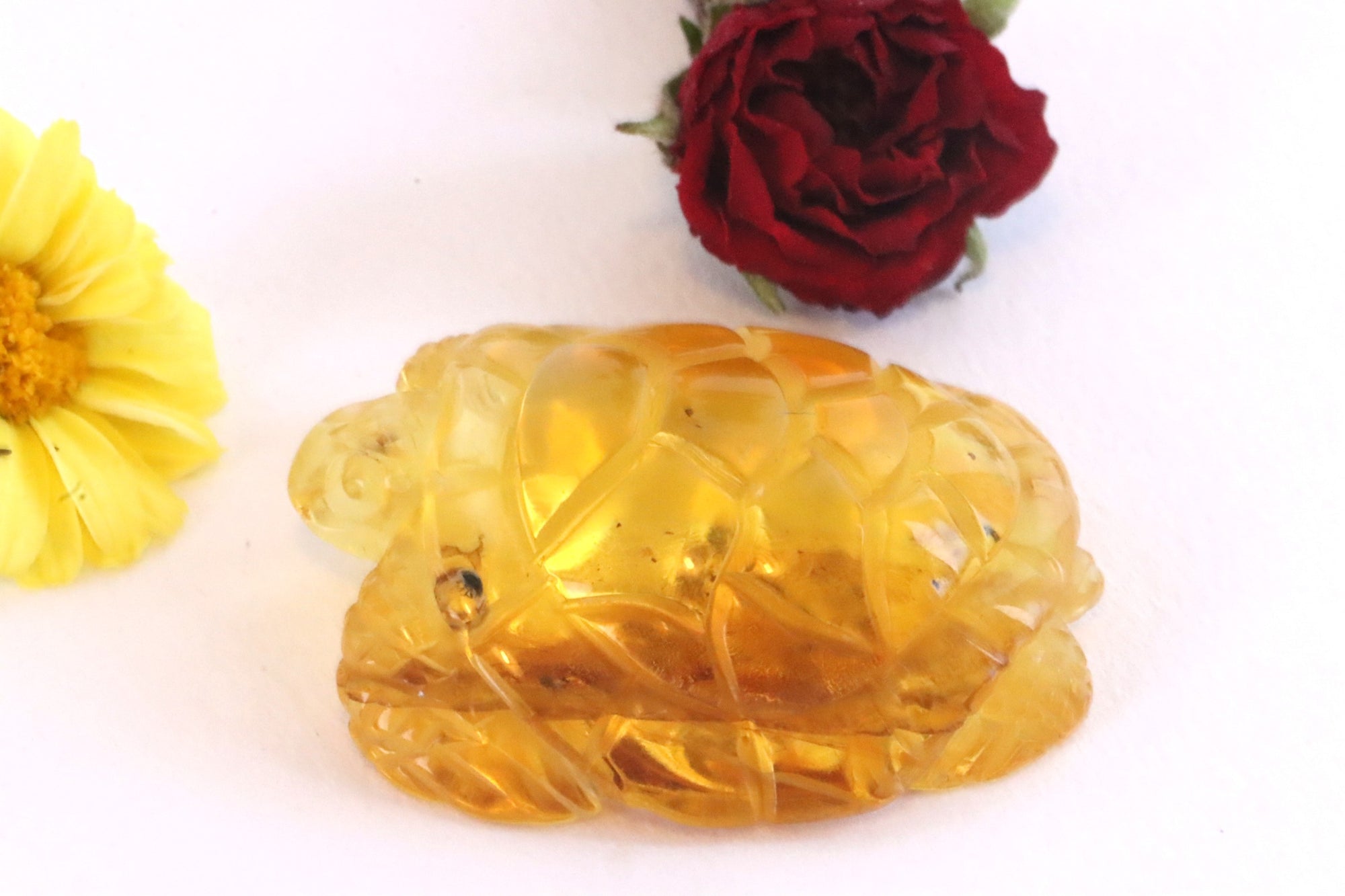 Turtle Amber Carving