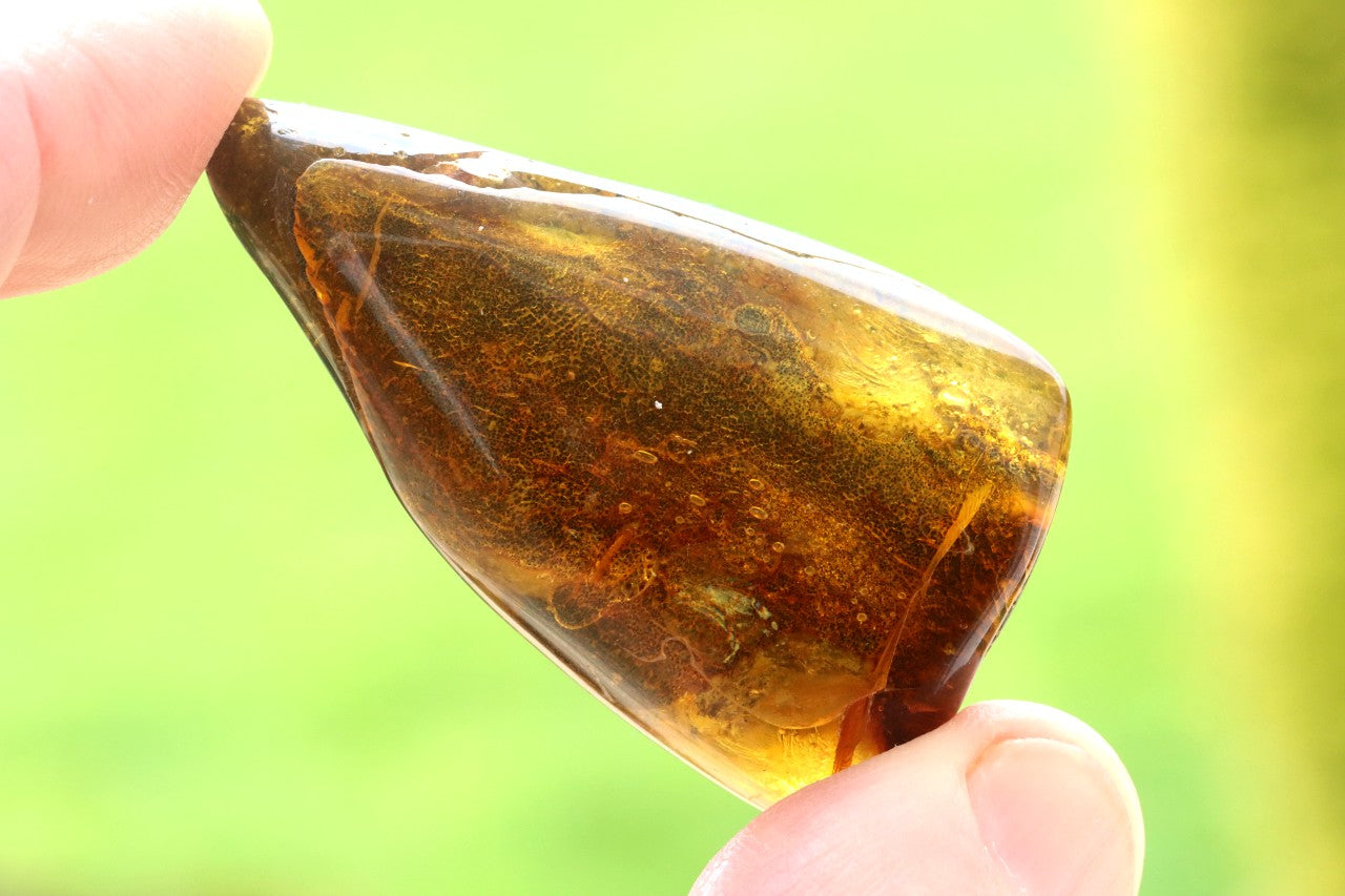 Gift for Nature Lover Tree Gift Fossil Resin