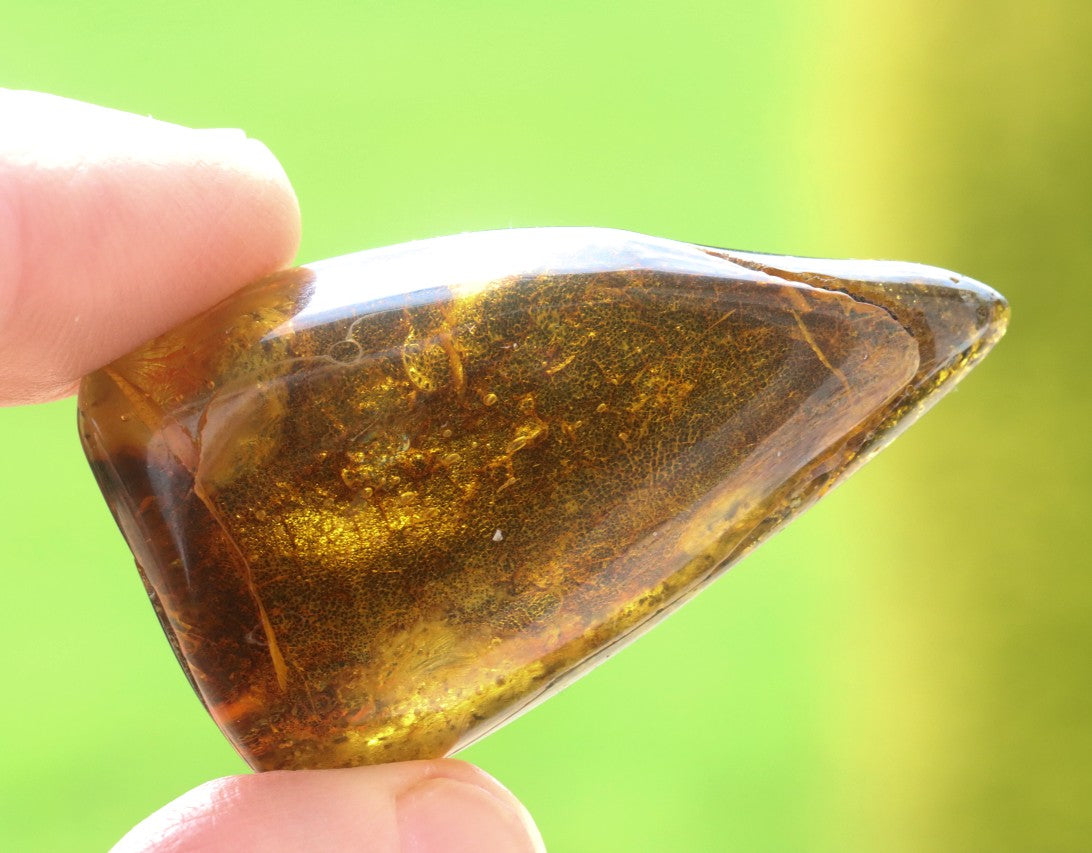 Gift for Nature Lover Tree Gift Fossil Resin