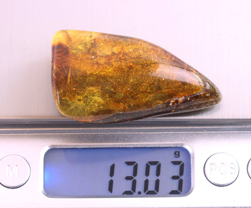 Gift for Nature Lover Tree Gift Fossil Resin