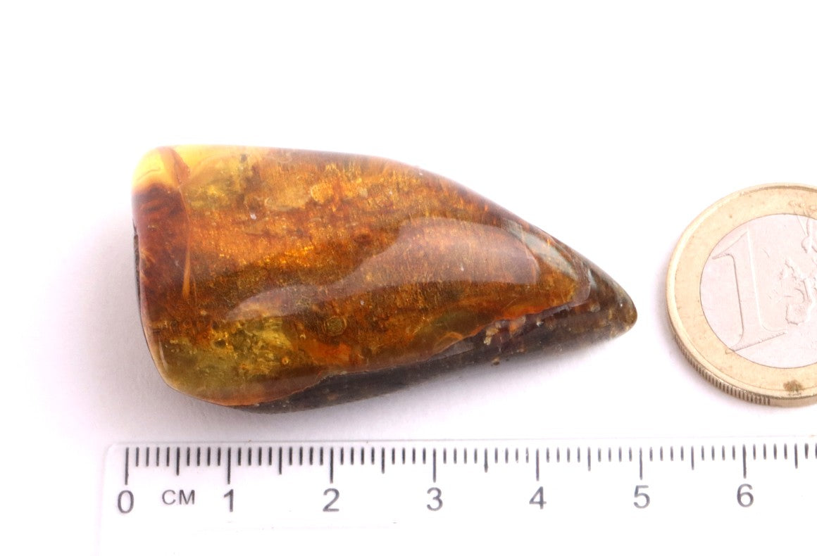 Gift for Nature Lover Tree Gift Fossil Resin