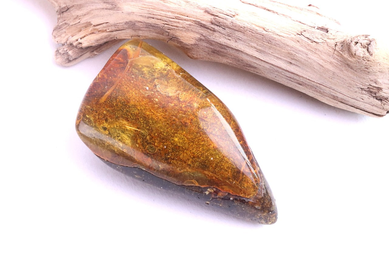 Gift for Nature Lover Tree Gift Fossil Resin