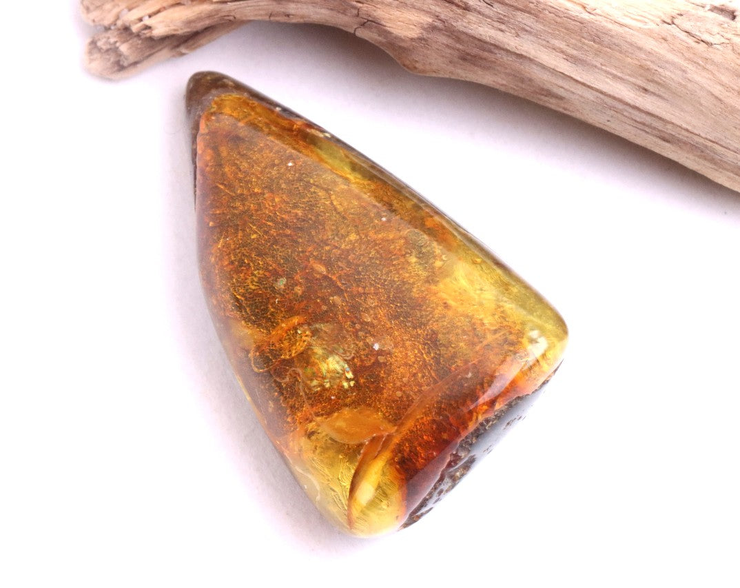 Gift for Nature Lover Tree Gift Fossil Resin