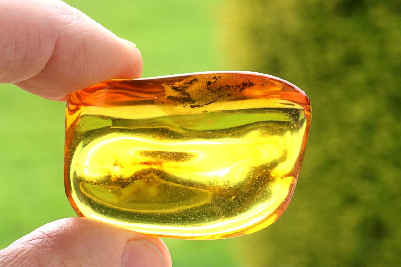 Natural Clear Baltic Amber Gemstone