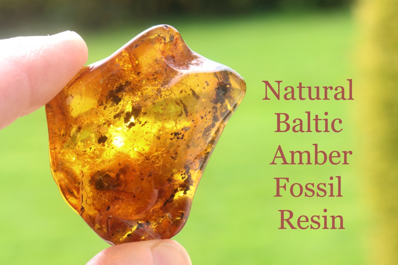 Gift for Nature Lover – Natural Baltic Amber Fossil Resin