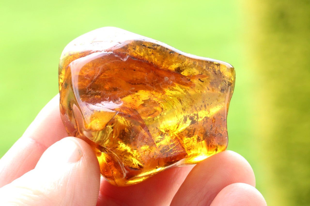 Gift for Nature Lover – Natural Baltic Amber Fossil Resin
