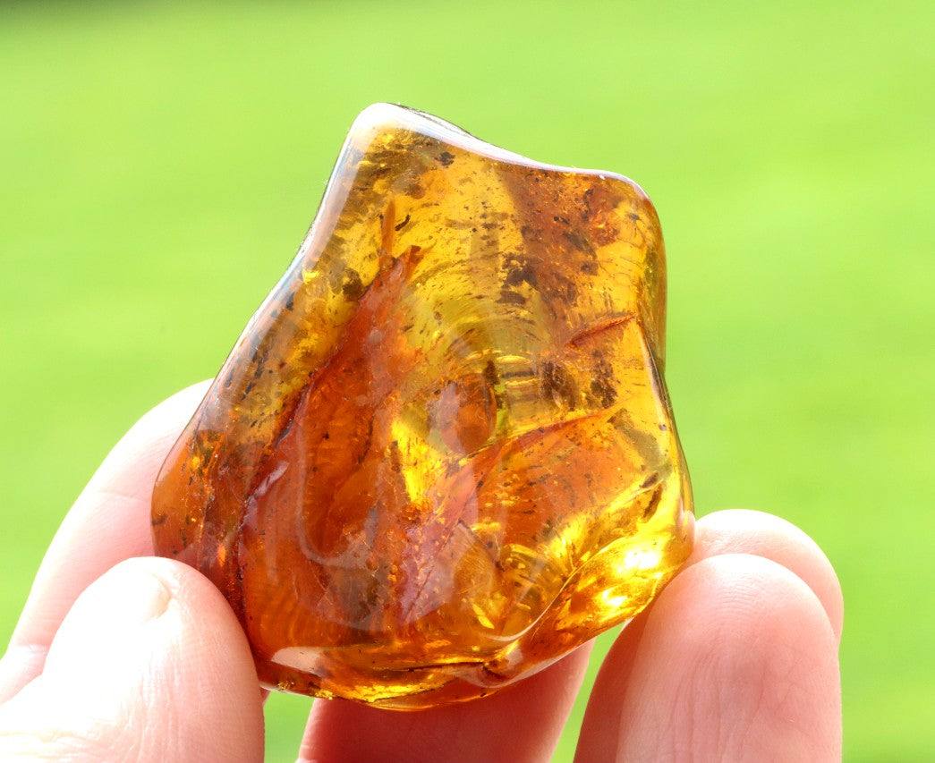 Gift for Nature Lover – Natural Baltic Amber Fossil Resin