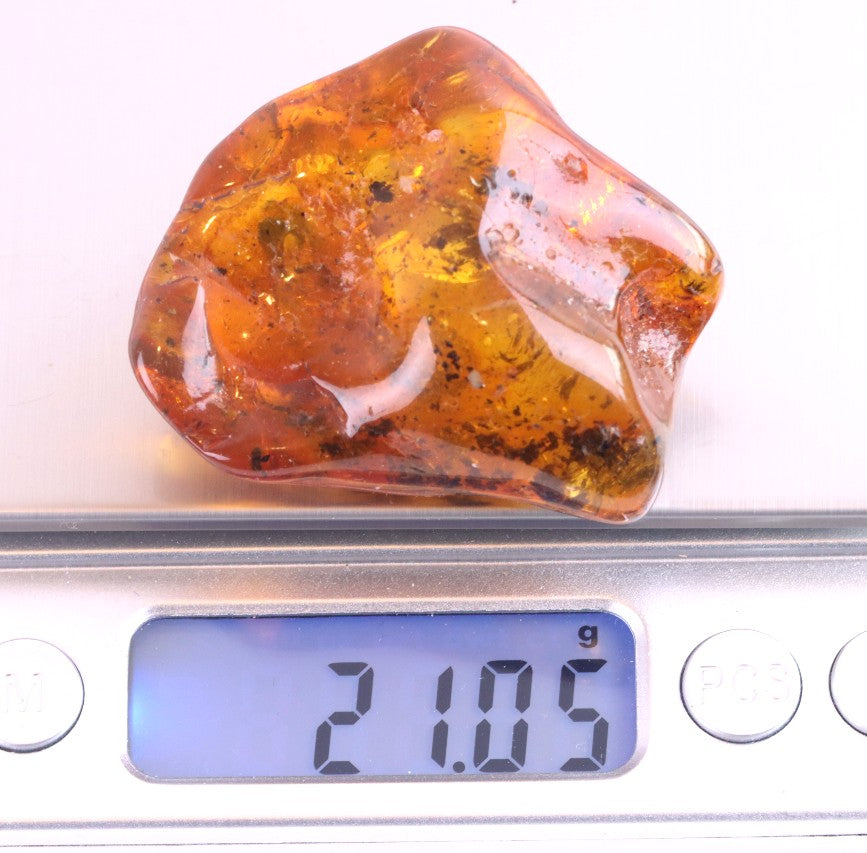 Gift for Nature Lover – Natural Baltic Amber Fossil Resin