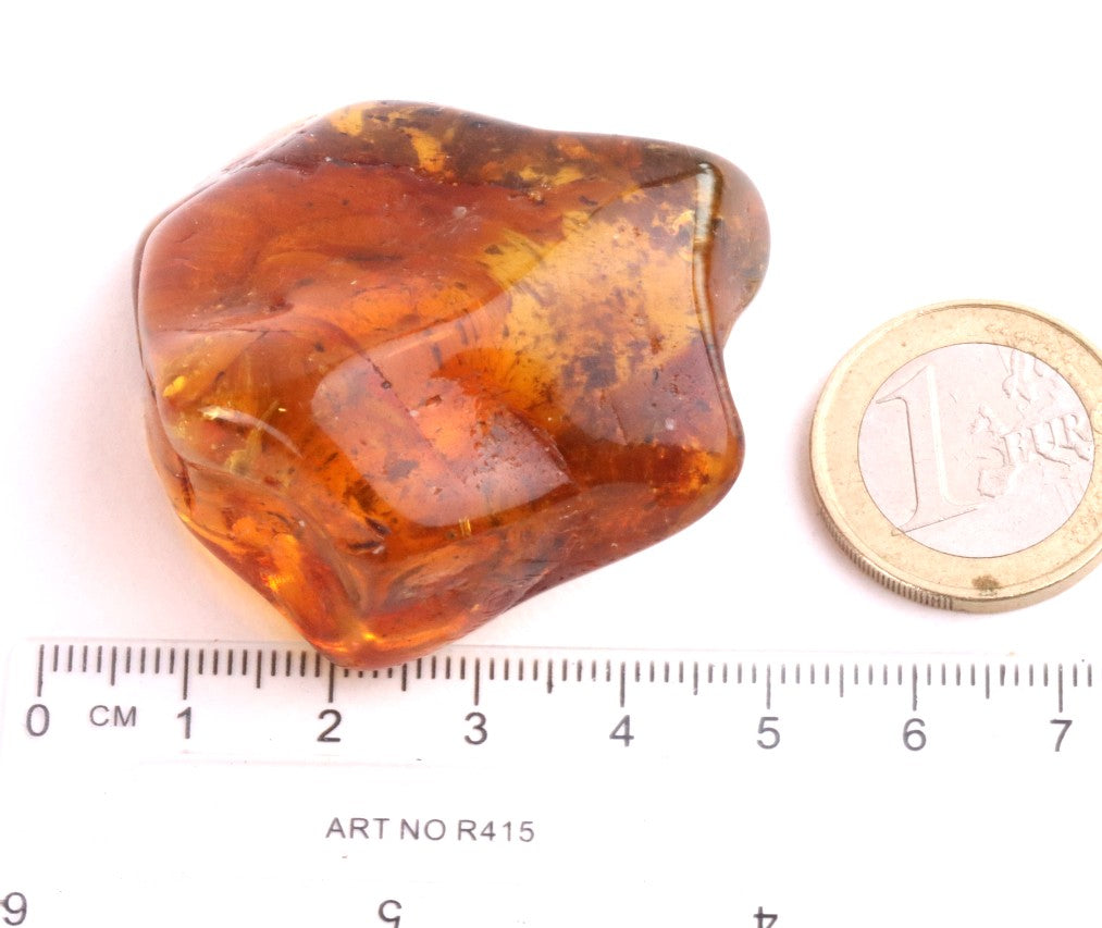 Gift for Nature Lover – Natural Baltic Amber Fossil Resin