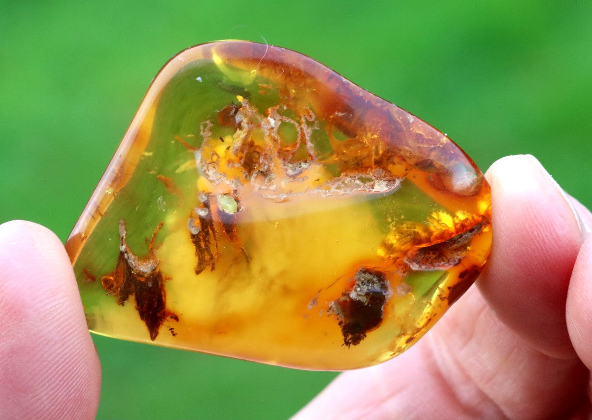 Natural Baltic Amber Gemstone | Amber for Luck