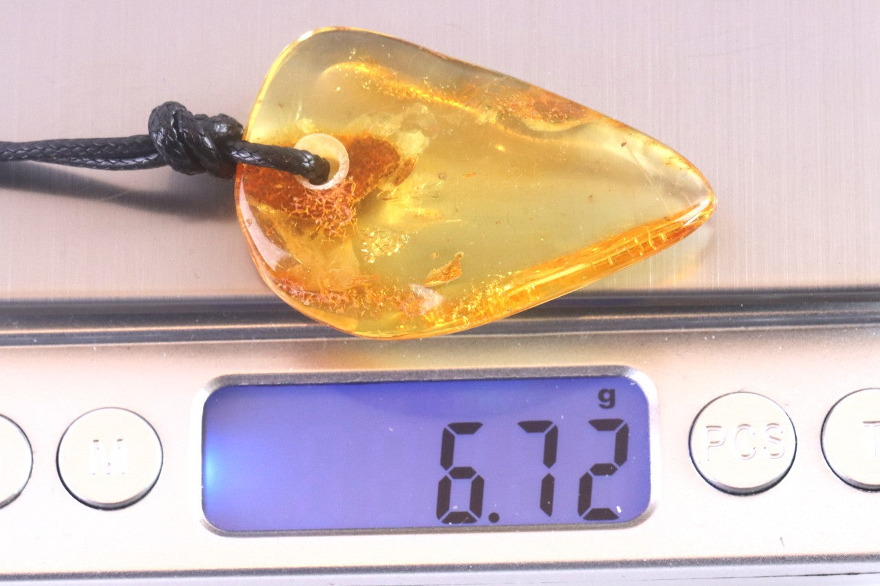Natural Baltic Amber Amulet Tumbled Gem on Adjustable Cord