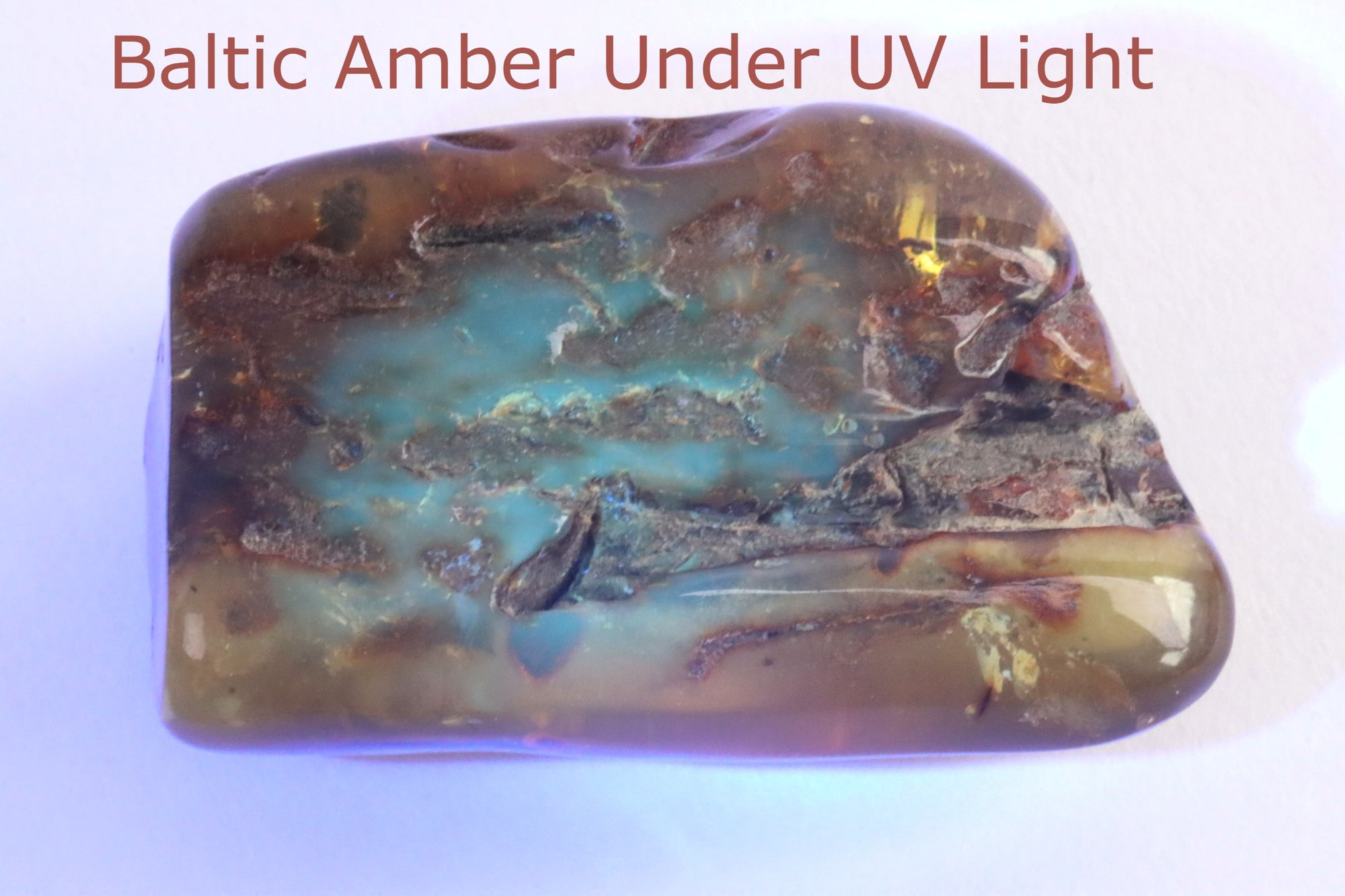 70g collectors Baltic Amber Meditation Gem