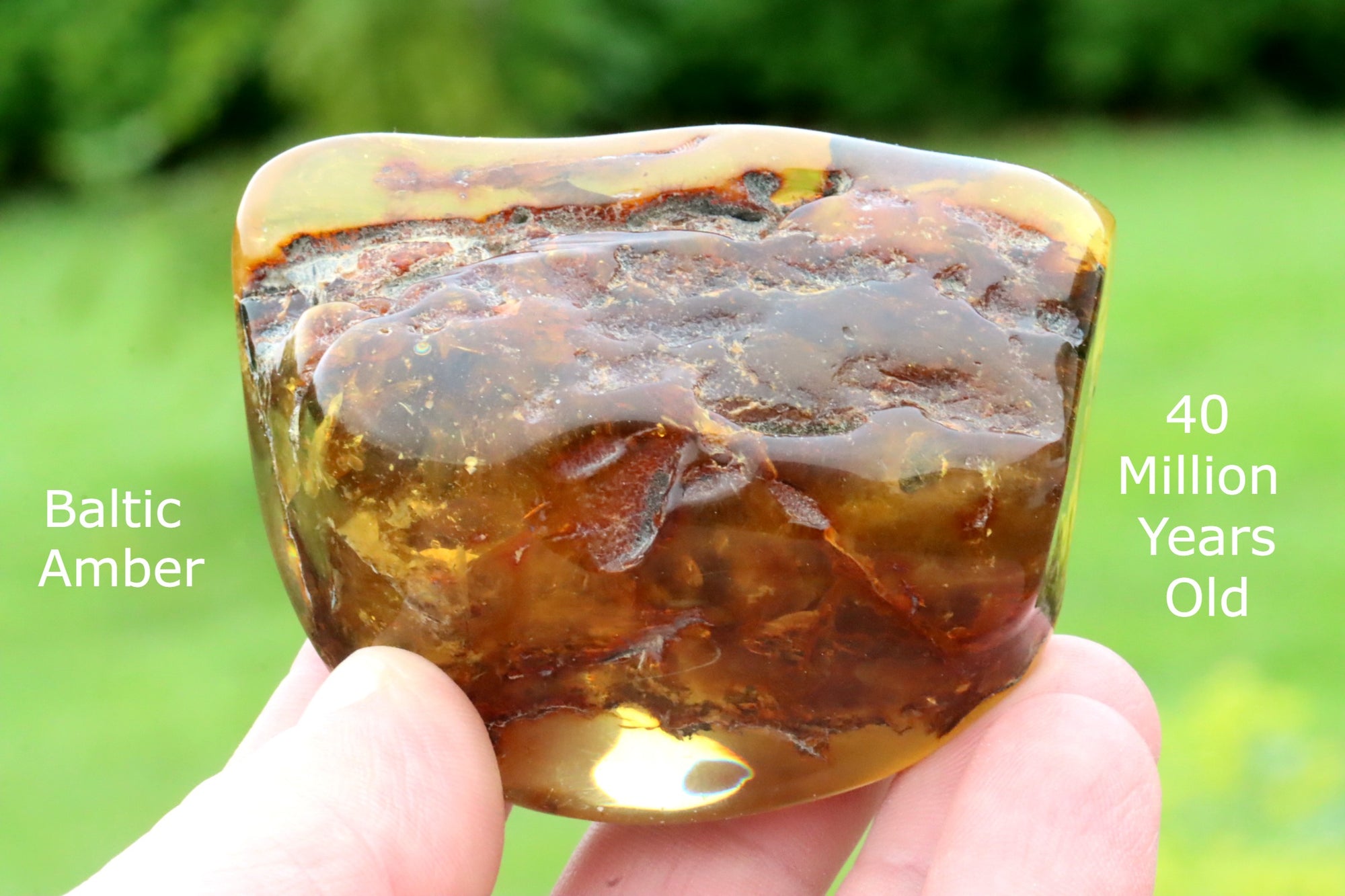 70g collectors Baltic Amber Meditation Gem