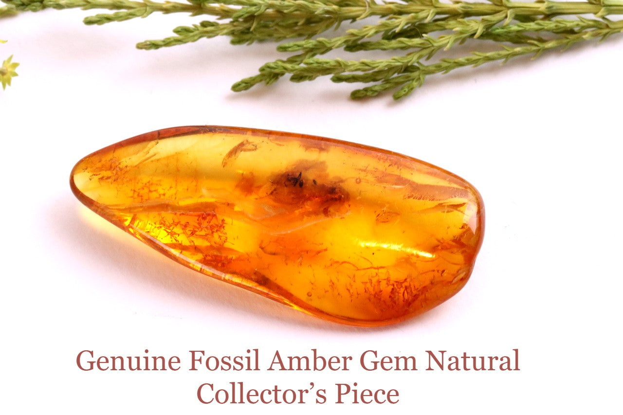 40 Million-Year-Old Baltic Amber with Ant Inclusion